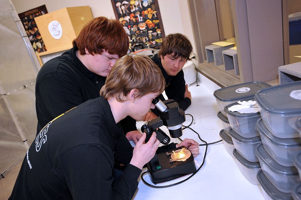 Mushrooms ACES students study mycology